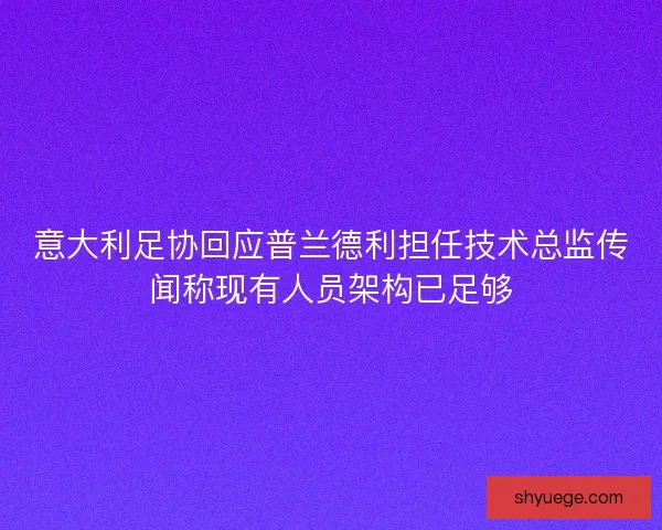意大利足协回应普兰德利担任技术总监传闻称现有人员架构已足够