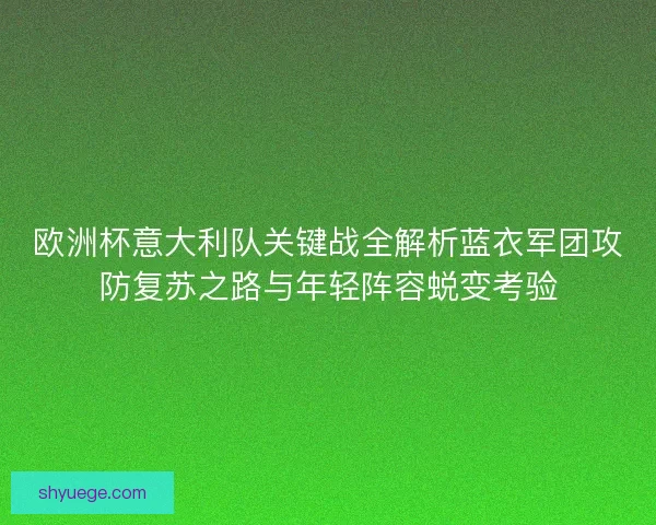 欧洲杯意大利队关键战全解析蓝衣军团攻防复苏之路与年轻阵容蜕变考验
