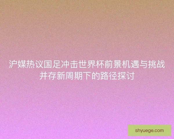 沪媒热议国足冲击世界杯前景机遇与挑战并存新周期下的路径探讨