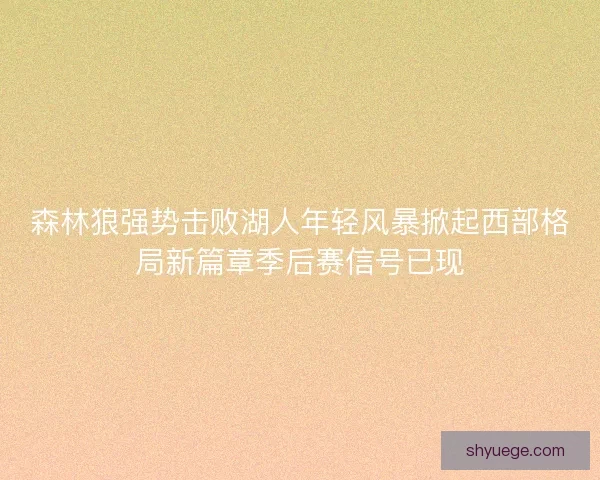 森林狼强势击败湖人年轻风暴掀起西部格局新篇章季后赛信号已现